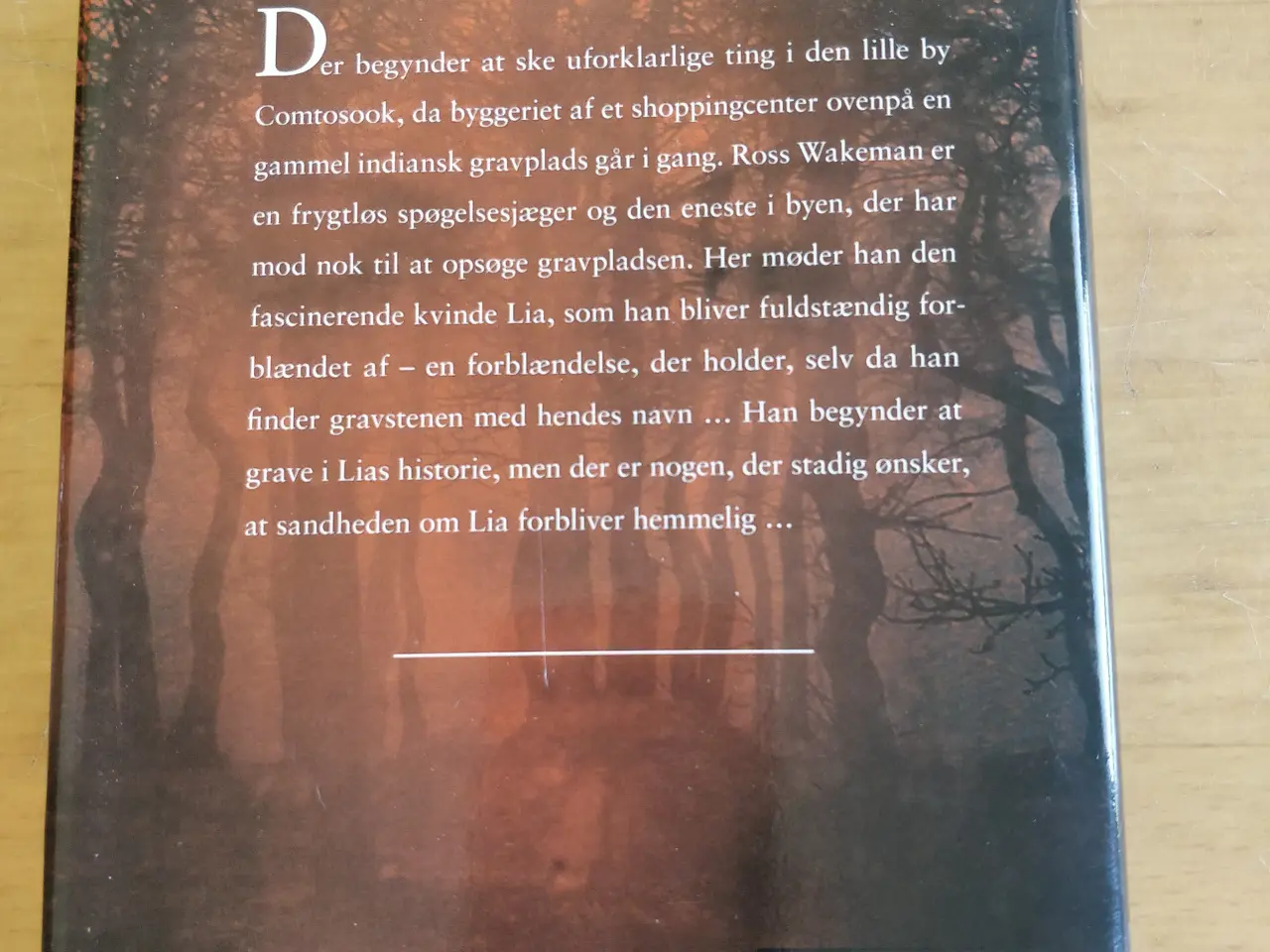 Billede 4 - Nattens skygger