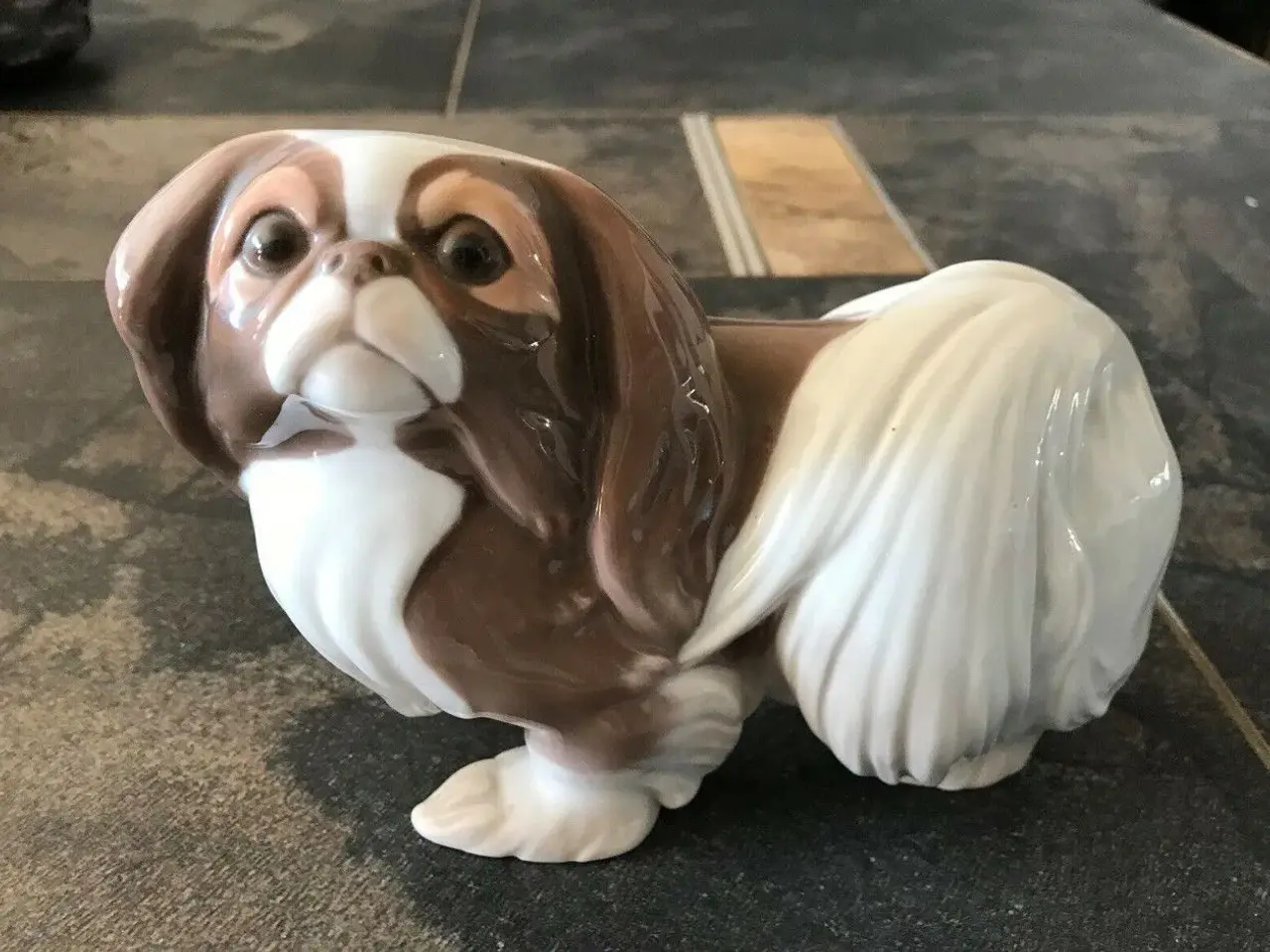 Billede 1 - B&G Pekingeser / Japanese Chin 2114