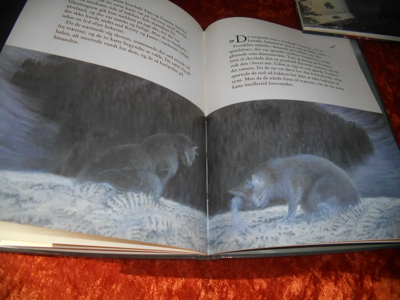 Billede 4 - Heksene & de syngende mus, Jenny Nimmo,