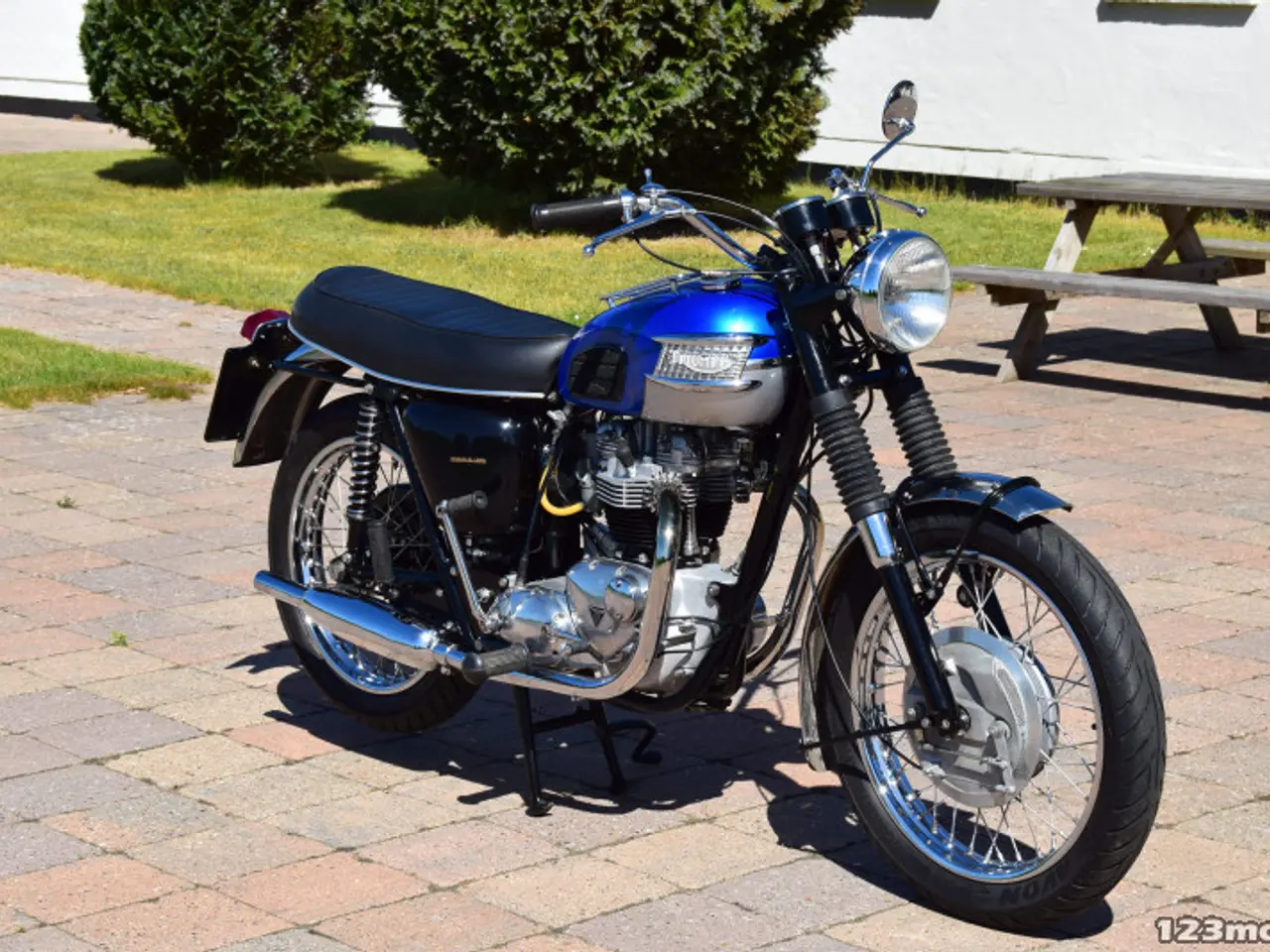 Billede 2 - Triumph Trophy 650 Classic Bike