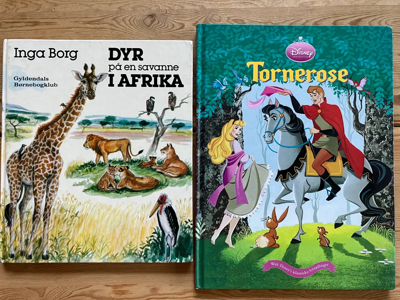 Billede 4 - 15 rigtig gode børnebøger