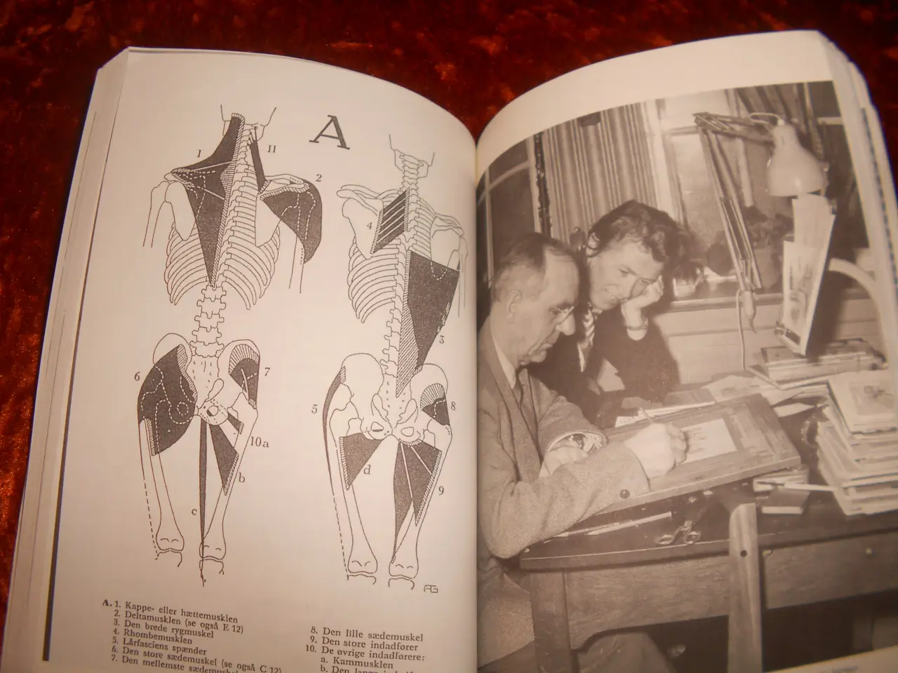 Billede 2 - Mit livs gymnastikhistorie, Helle Gotved, 