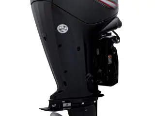 F100 EFI ELPT