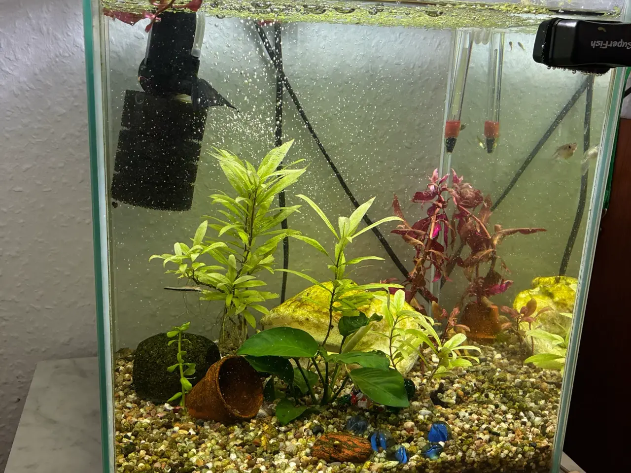 Billede 3 - 30 liter akvarium