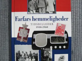 Danmarkshistorie for børn - som roman.