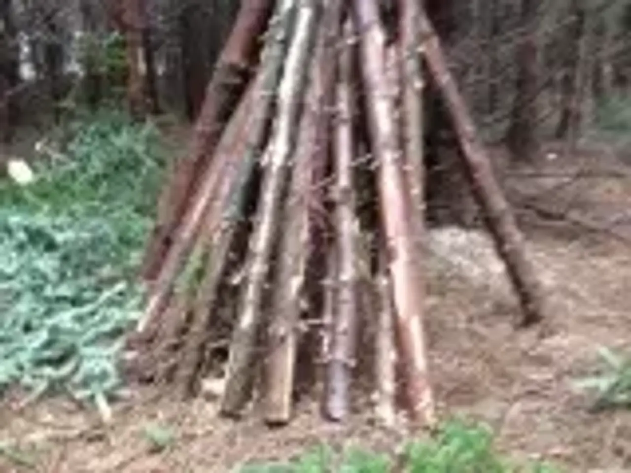 Billede 1 - Hegnspæle sælges (200 cm)