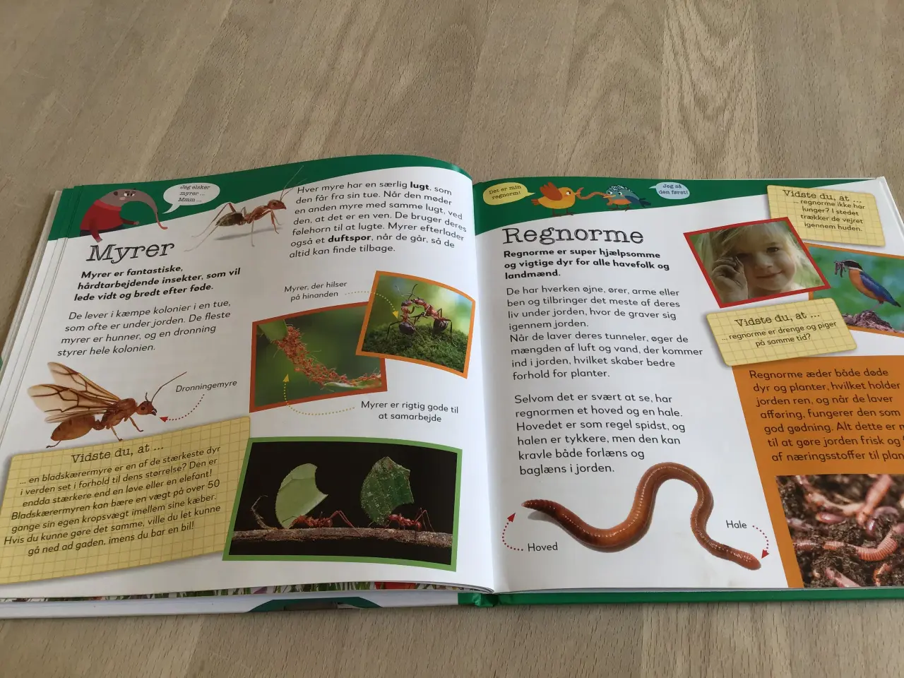 Billede 9 - Bog om kroppen, bog om krible krable, pr stk 35kr