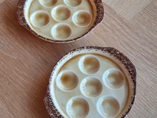 Escargot tallerkener 