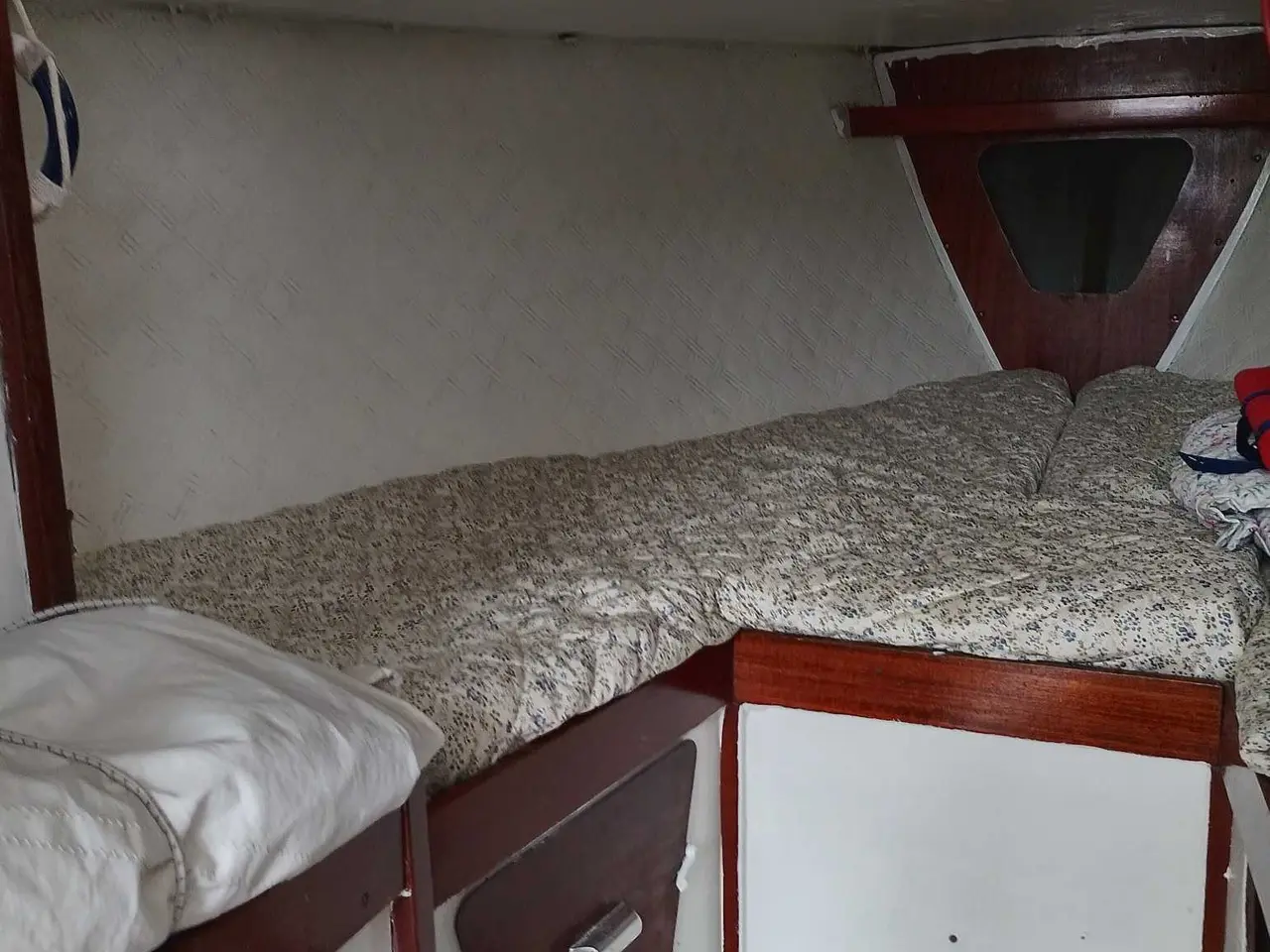 Billede 7 - Albin Vega sejlbåd