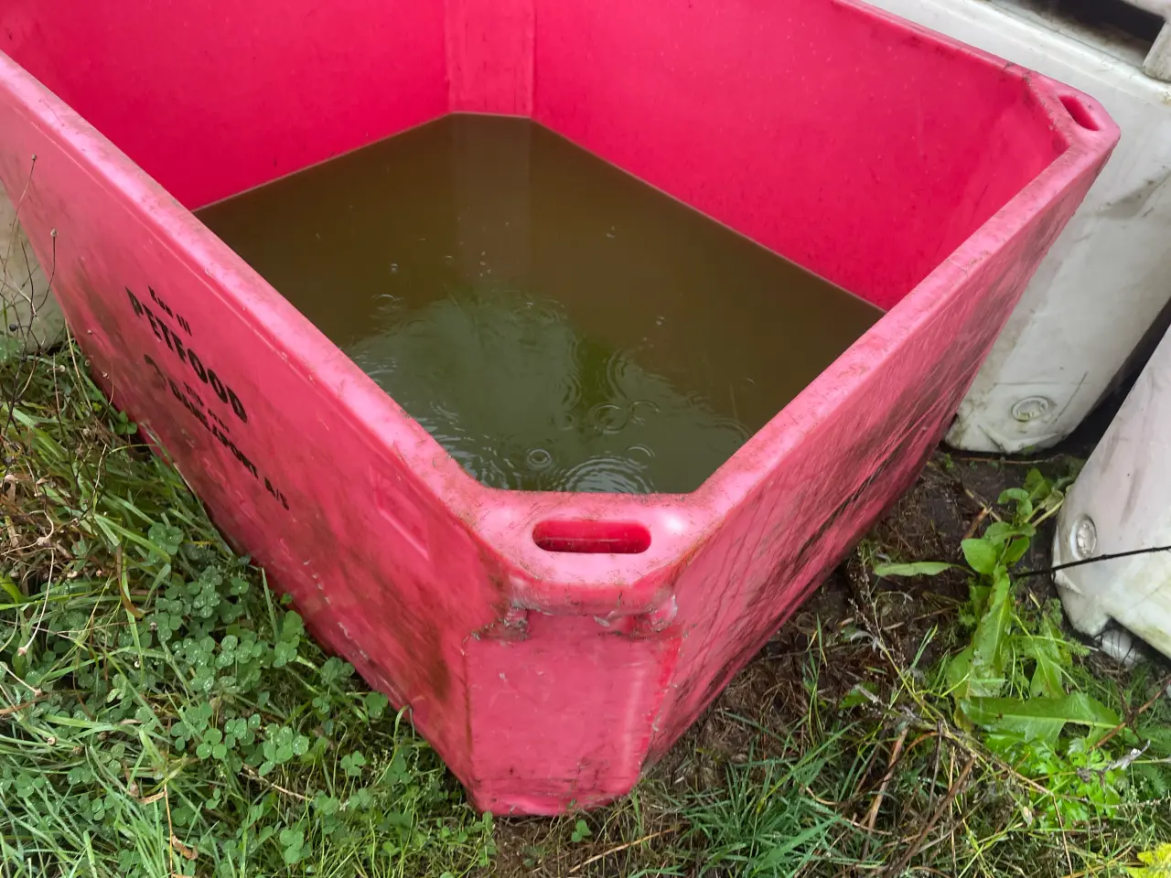 Billede 1 - Fryse container, kar, container
