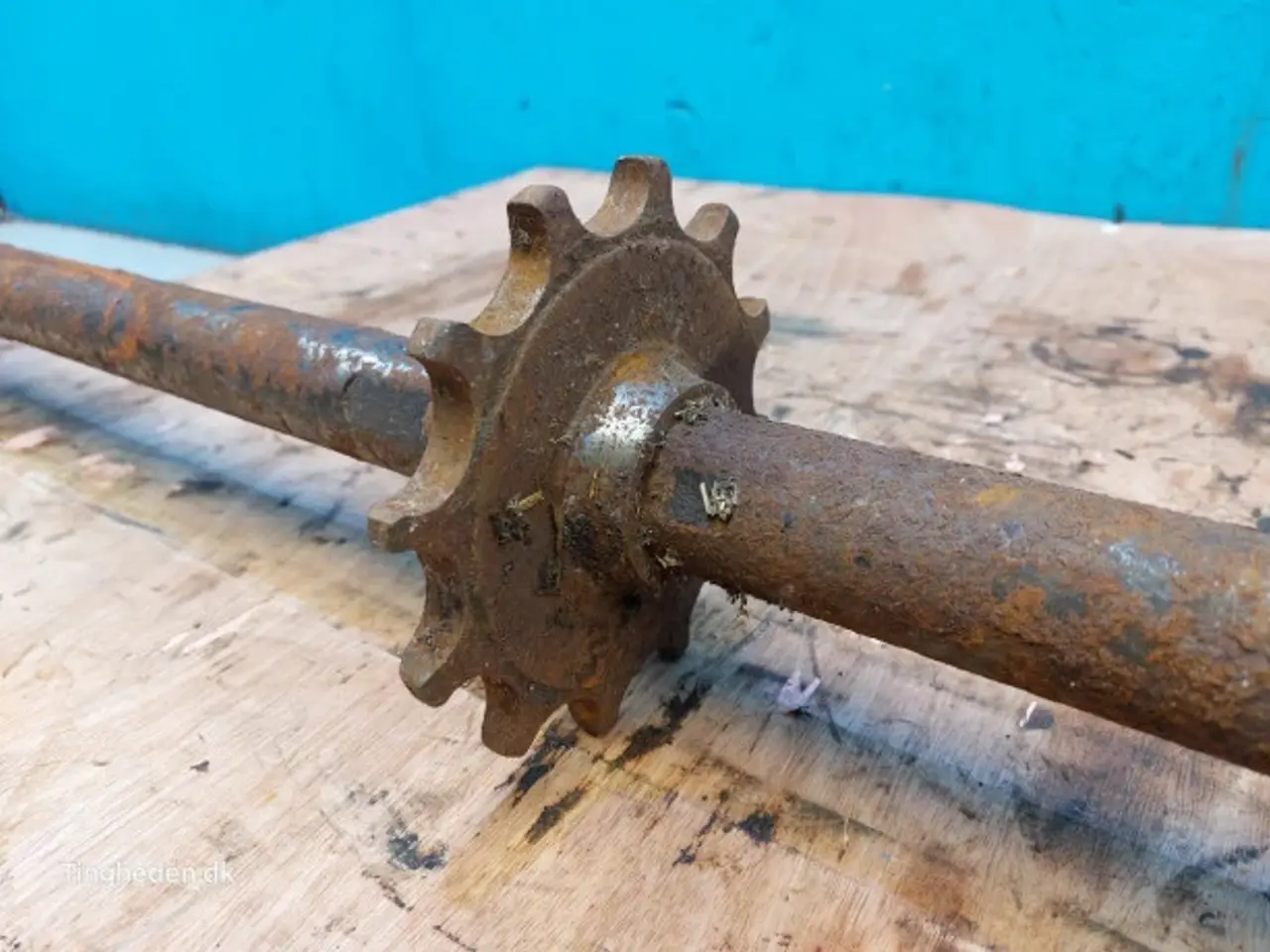 Billede 7 - Massey Ferguson 31 Aksel 28251751