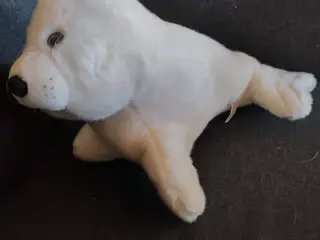Sæl