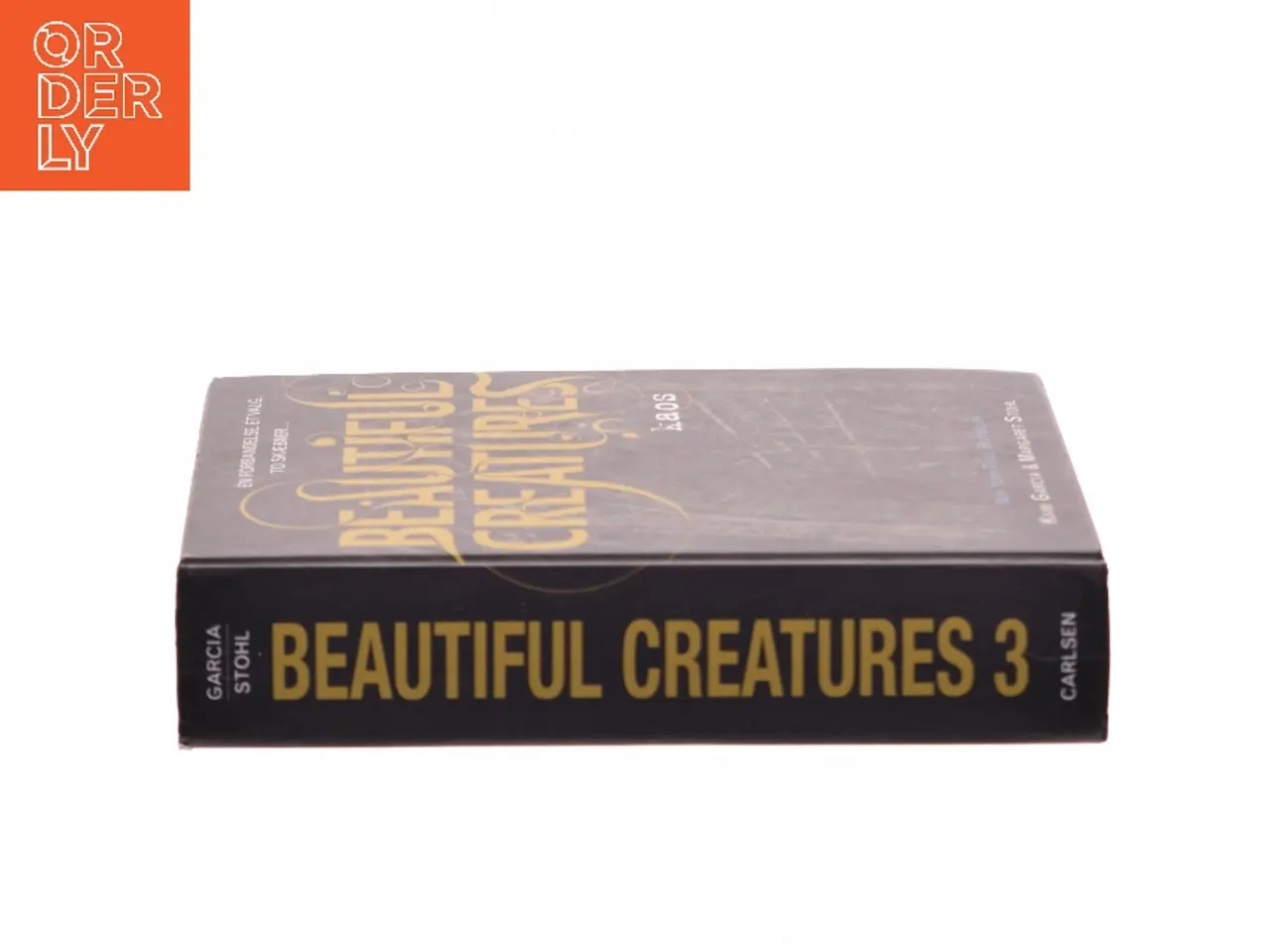 Billede 2 - Beautiful creatures - kaos af Kami Garcia (Bog)
