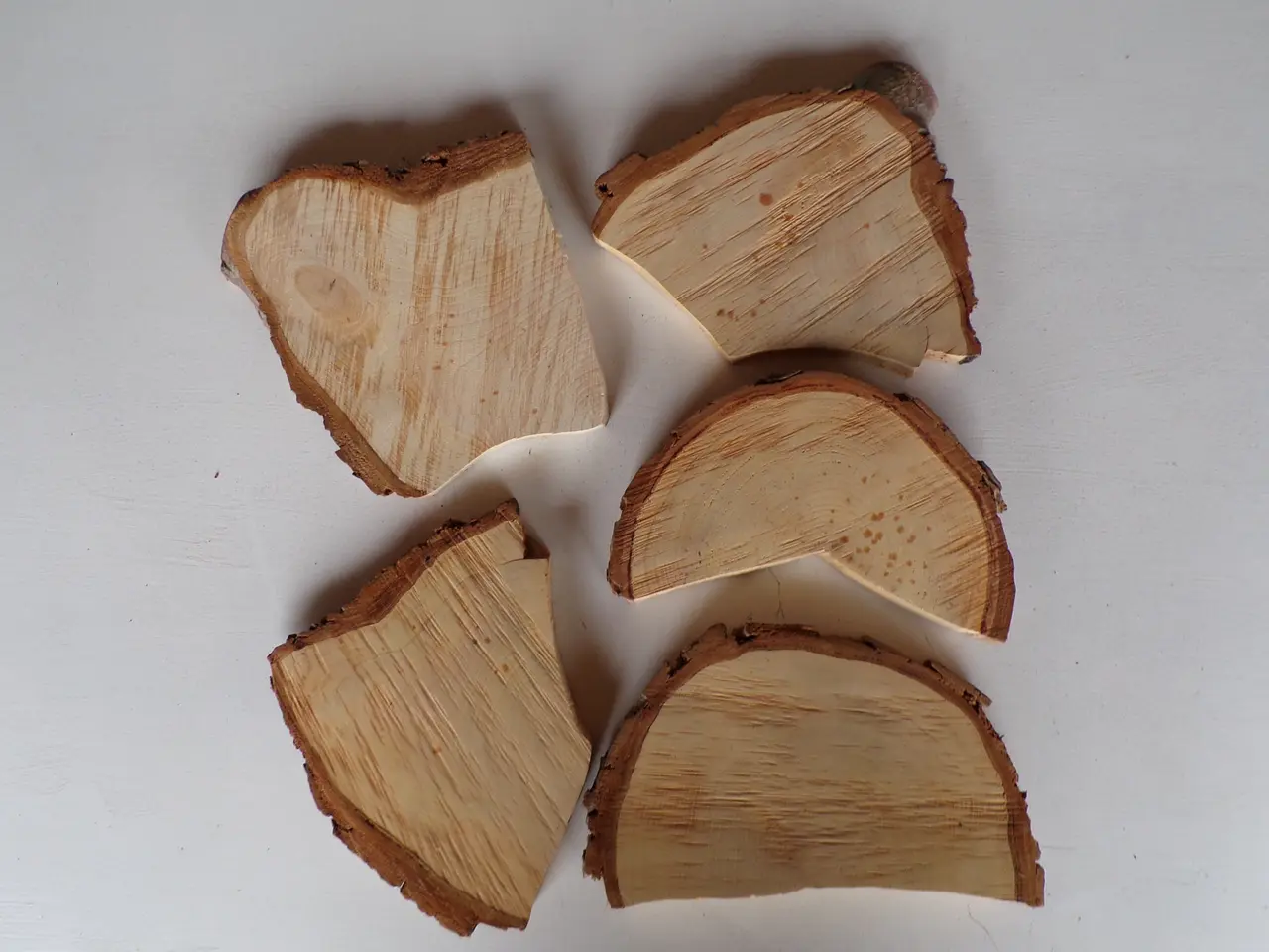 Billede 1 - 5 Thuja træskiver med bark i skæve faconer