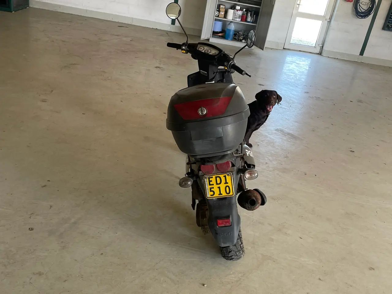 Billede 3 - Pgo hot 50
