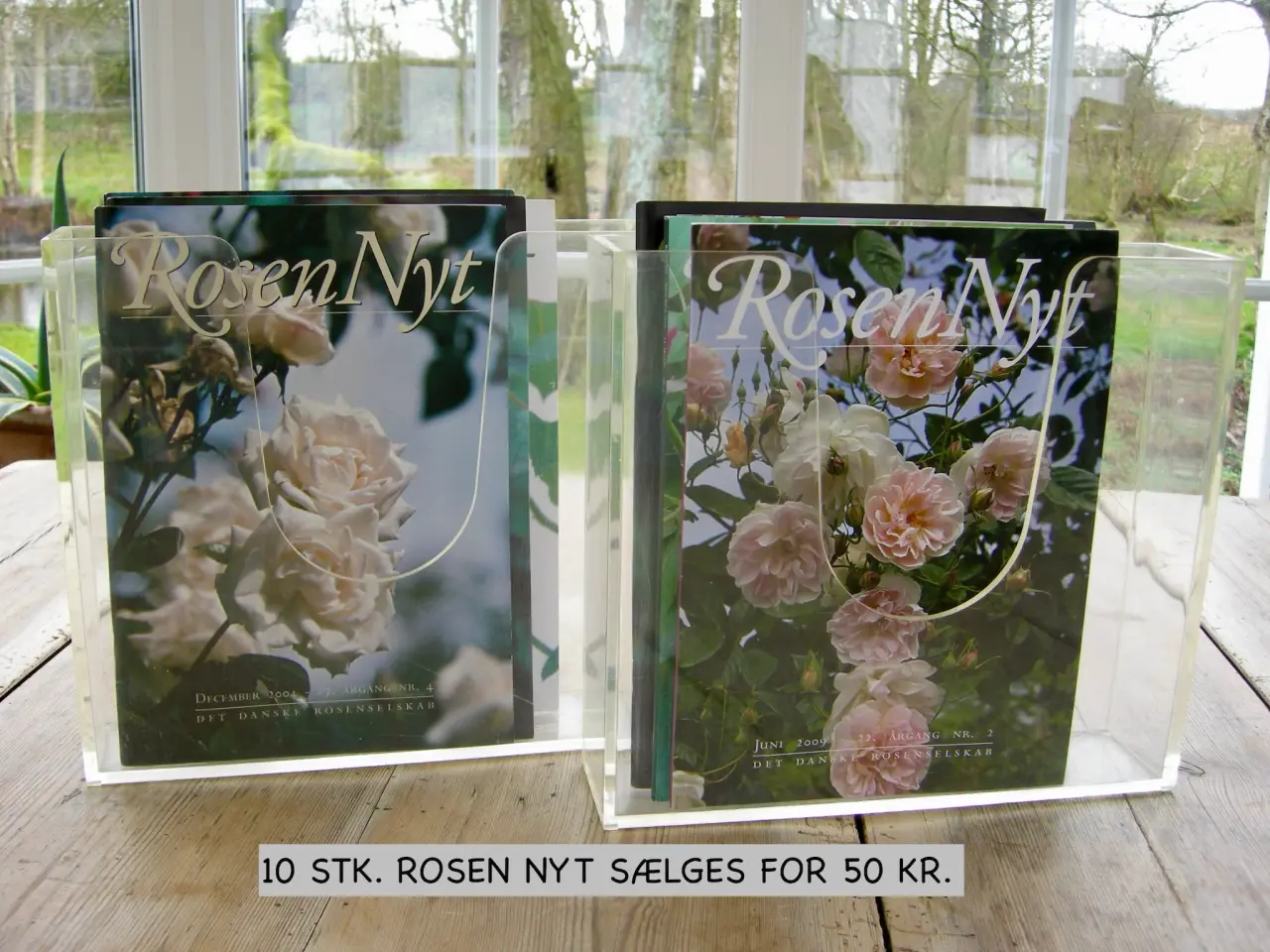 Billede 2 - ROSEN NYT, DET DANSKE ROSENSELSKAB, ROSER, HAVEN