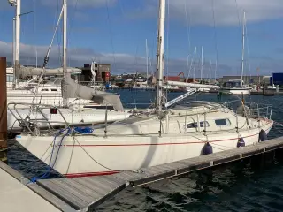 Andel i Albin Ballad 31 - fast plads i Svanemøllen
