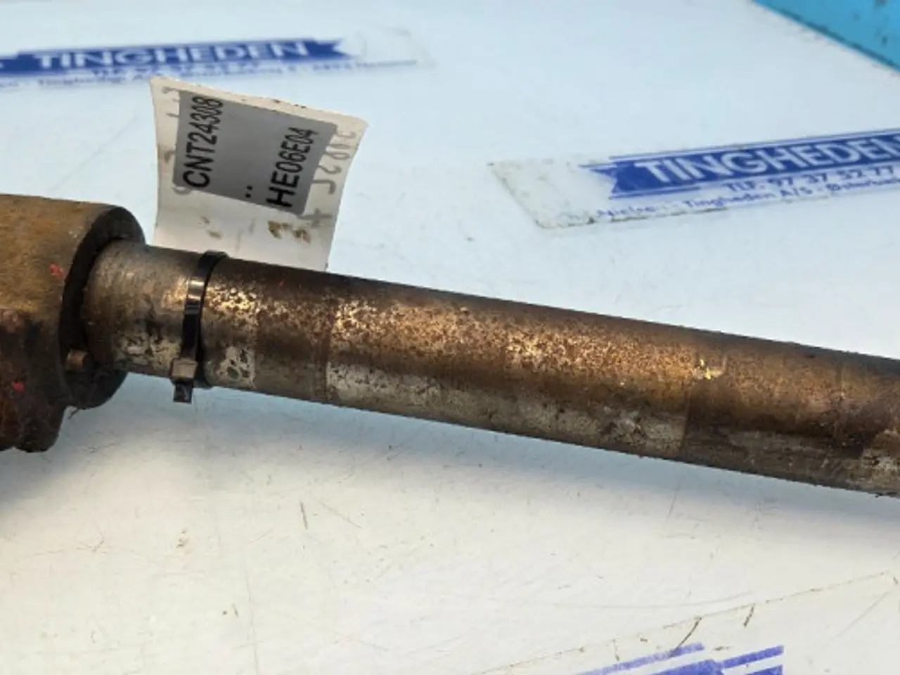 Billede 3 - Fiat 500 Spindel 588327
