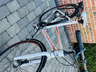 28” Centurion Discovery pige/ damecykel
