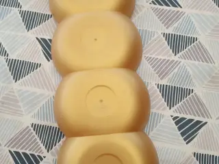 Tupperware elegance fad