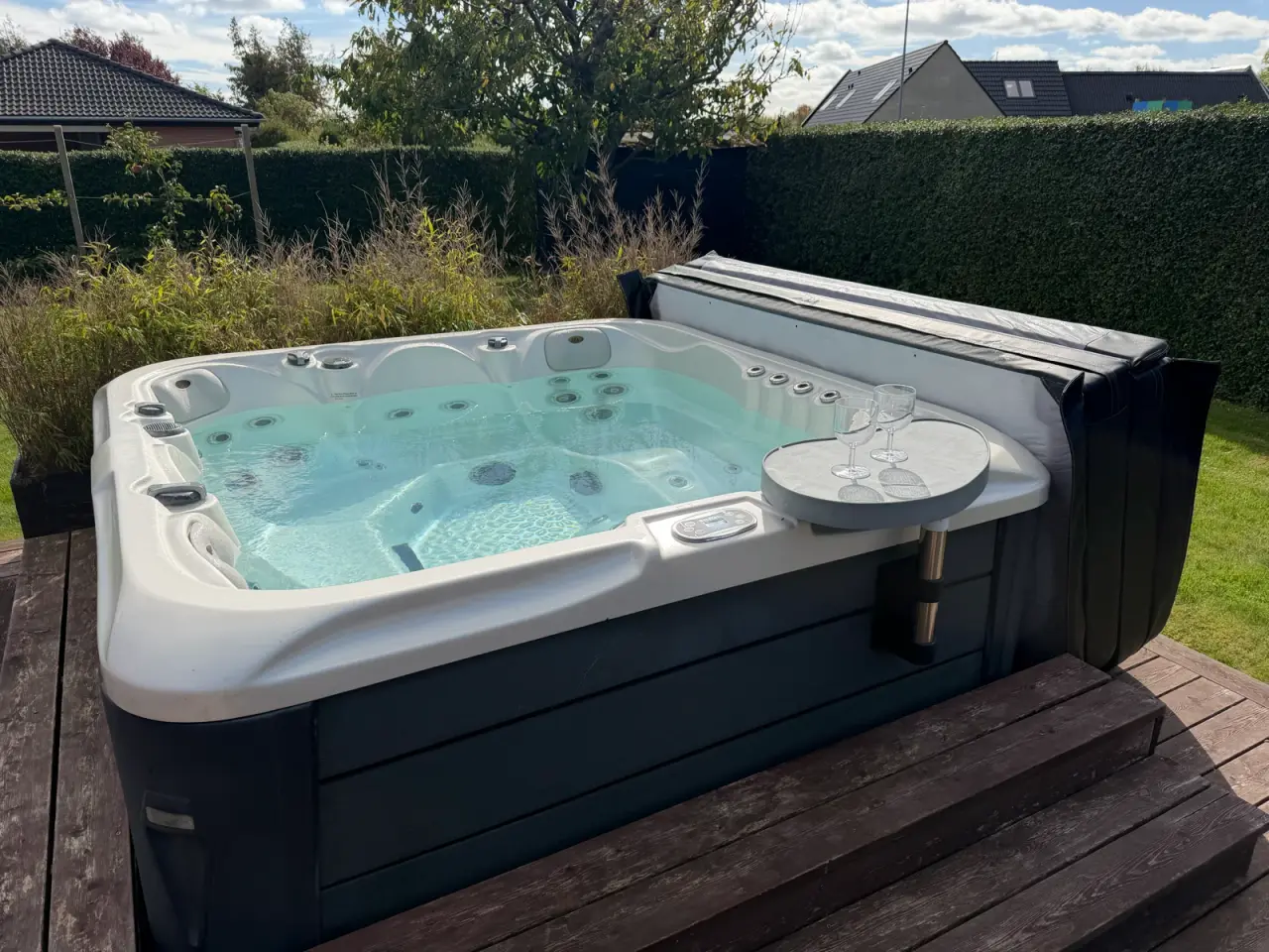 Billede 1 - Flot Spa med tykt cover