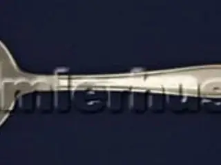 Ambrusius Spiseske, 20 cm.