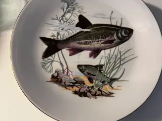 Fiske tallerken Kahla