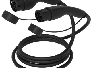type2 ladekable