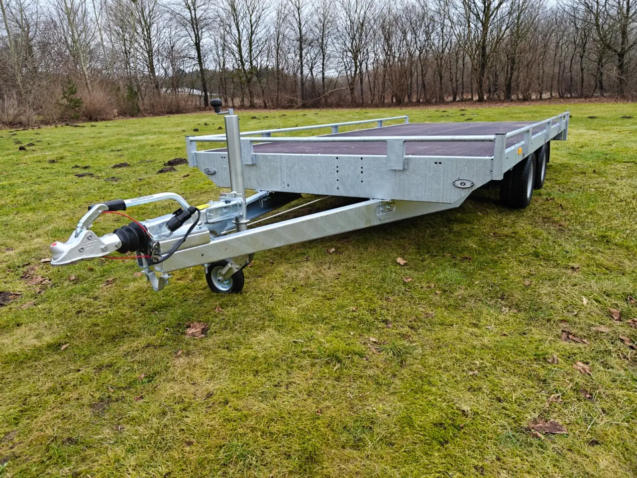Billede 6 - Eduard trailer 4020-3000 Multi - Reiling