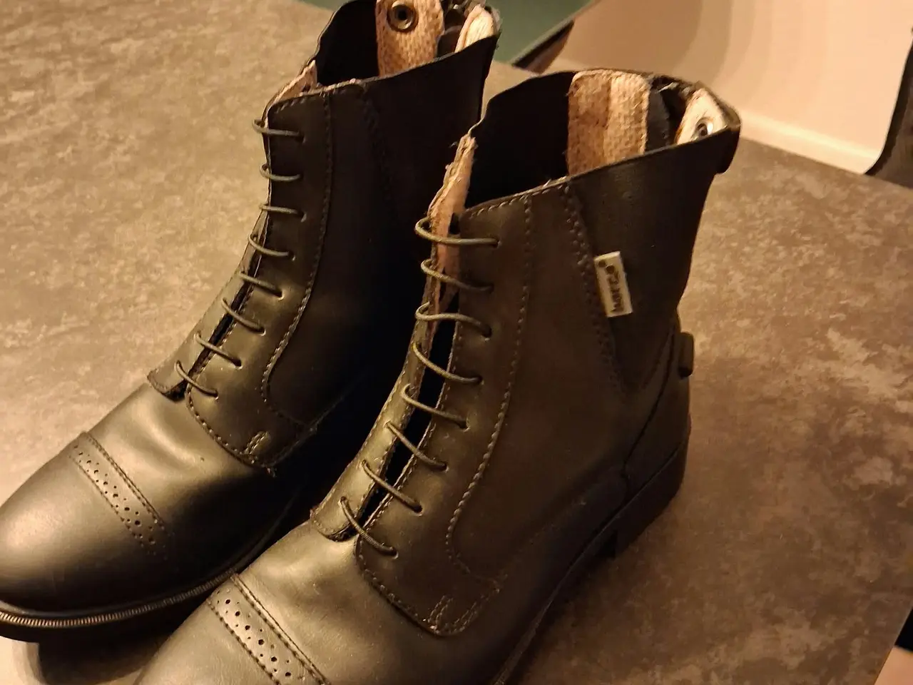 Billede 3 - Horze Kilkenny jodhpurstøvler og  Chaps