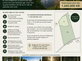 Skov- og naturgrund 7,765 ha ved Løgumkloster