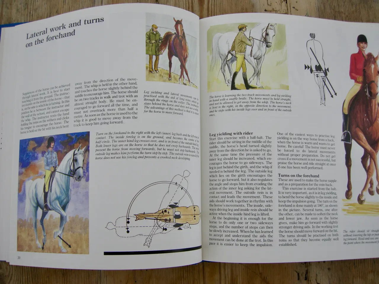 Billede 8 - THIS IS RIDING, Gunnar Hedlund, Hestebog engelsk