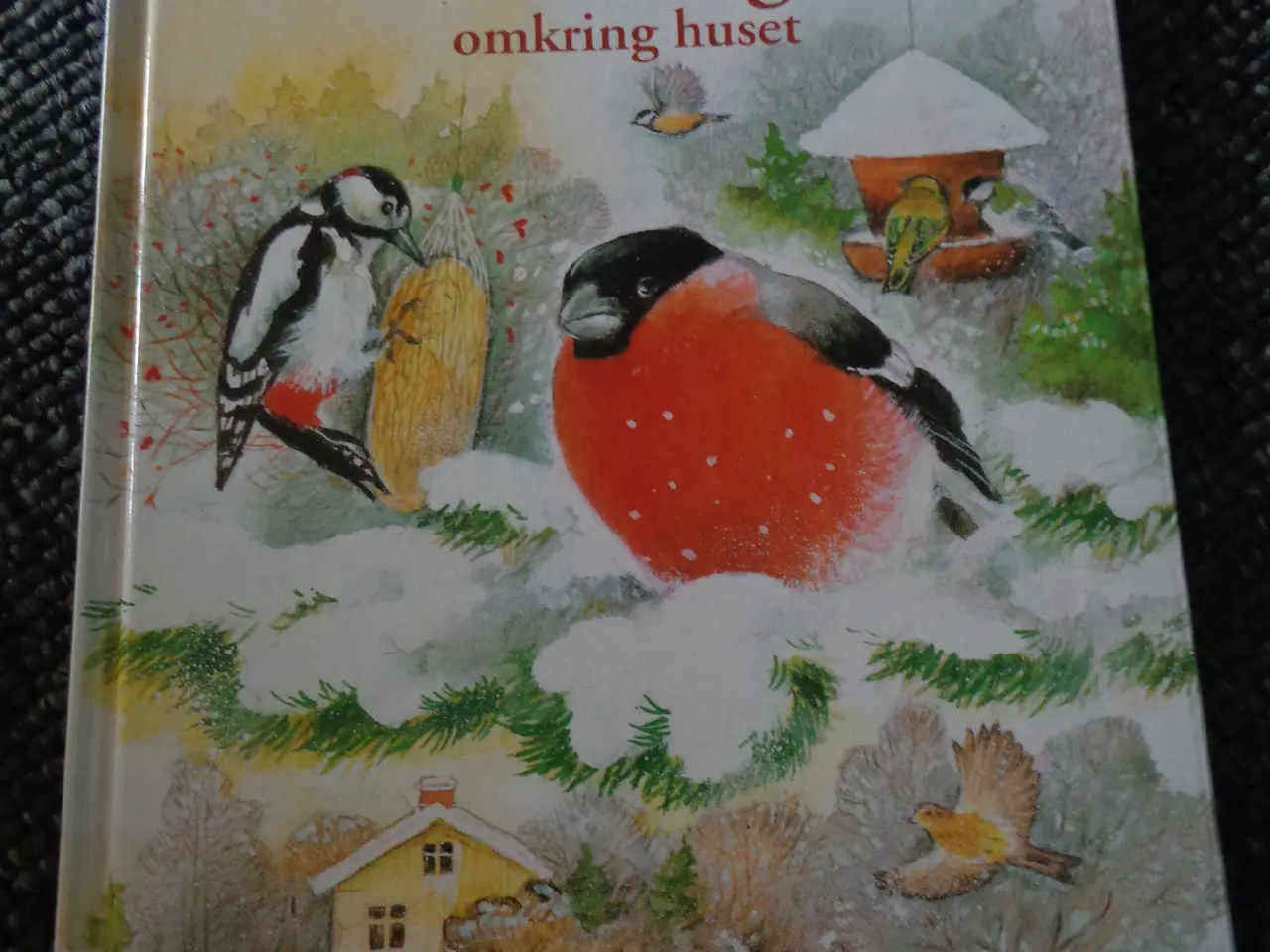 Billede 1 - Vinterfugle omkring huset