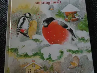 Vinterfugle omkring huset