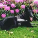 Liselotte H.