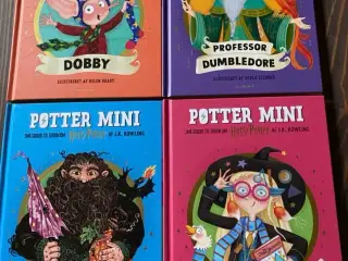 Harry Potter “ Potter Mini”