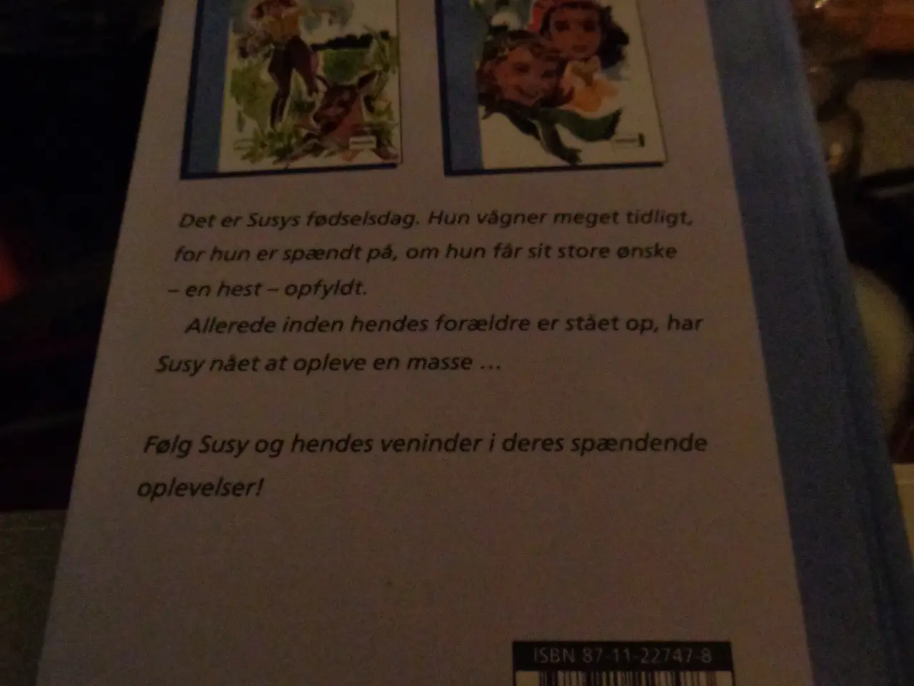 Billede 2 - Susy og Solvejg