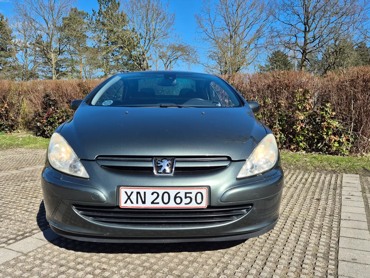 Billede 3 - 307 Cabriolet