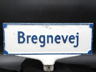 Vintage dansk vejskilt “Bregnevej” i aluminium