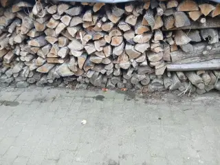blandet bøg/ask /rød elen
