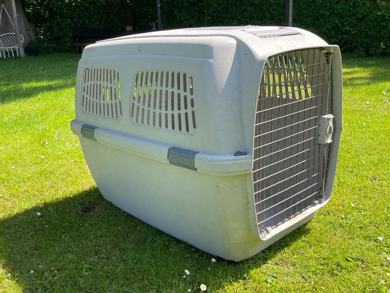 Billede 1 - Stor transportbox til hund