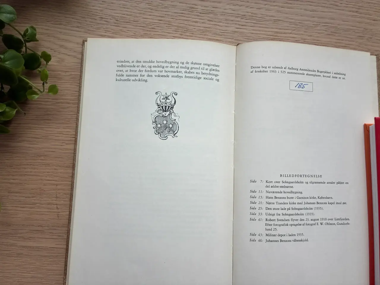 Billede 2 - Nogle blade af Sohngaardsholms historie