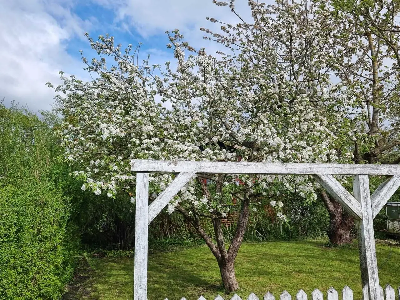 Billede 13 - Stor, indflytningsklar Kolonihave, Voerbjerglund