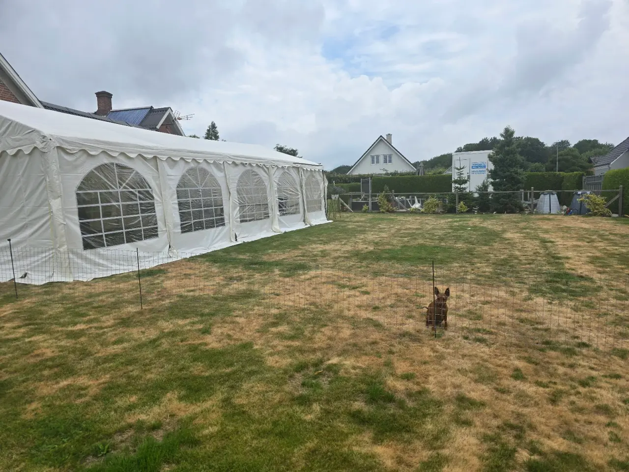 Billede 2 - Festtelte/ Pavillon  5*10 m