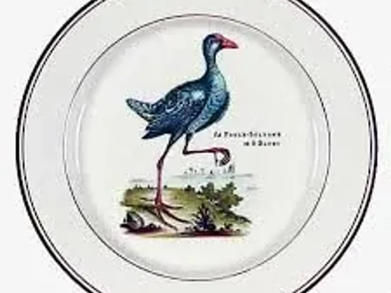 Billede 1 - Villeroy & Boch - Paradiso