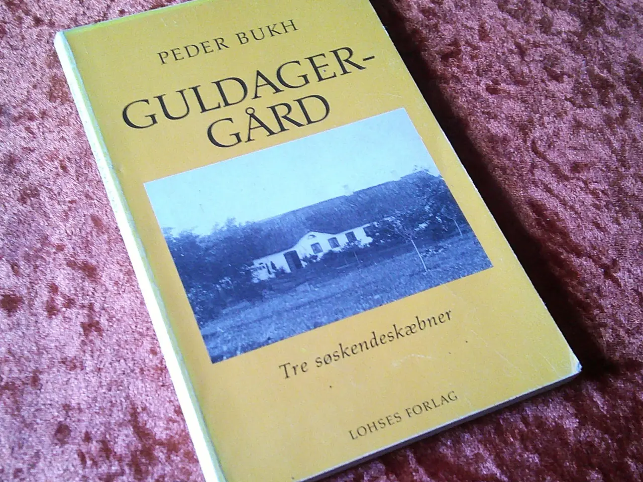 Billede 1 - Guldagergård - tre søskendeskæbner, Peder Bukh