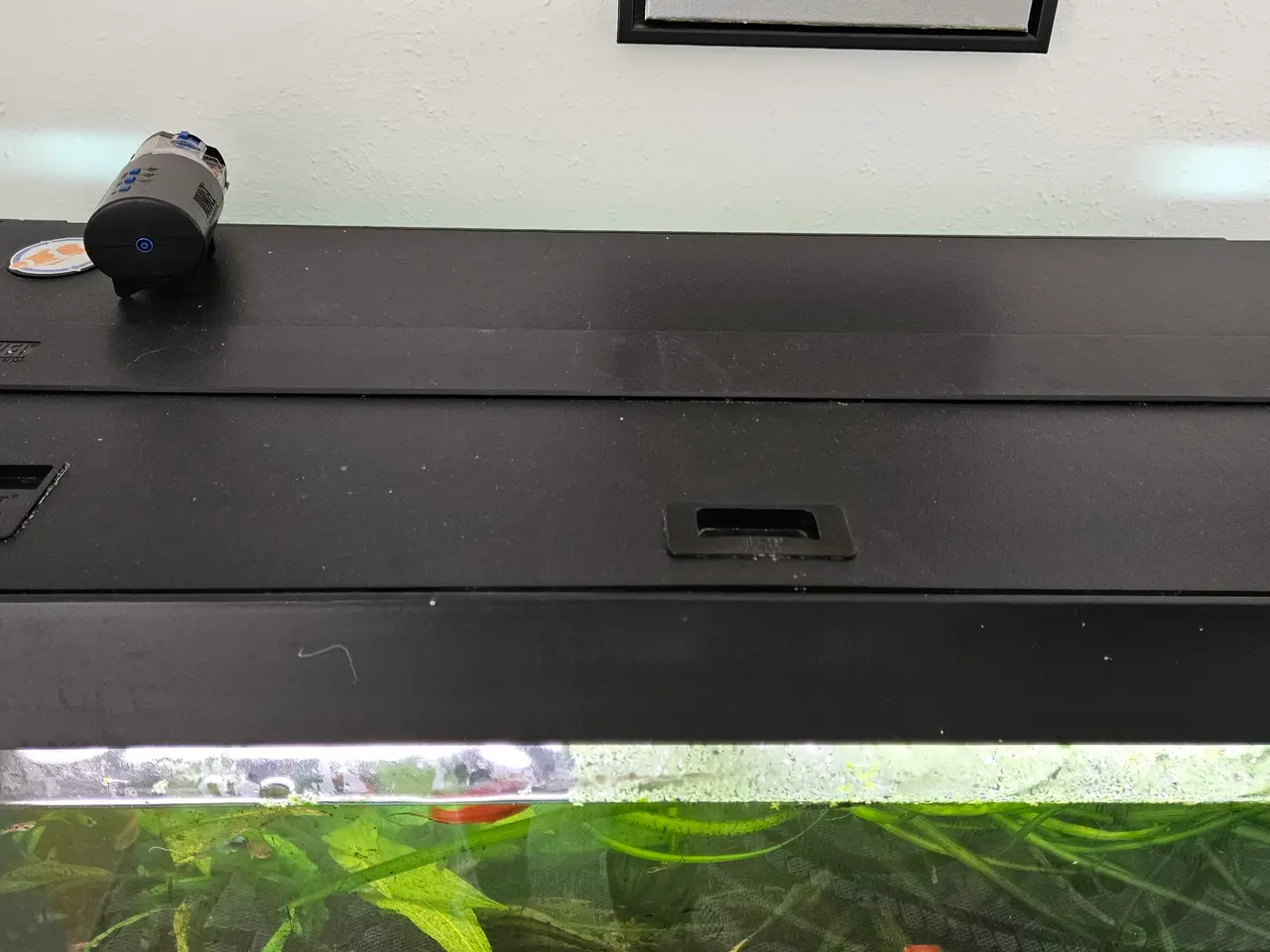 Billede 6 - 90 liter akvarie tømt 24-08-2026