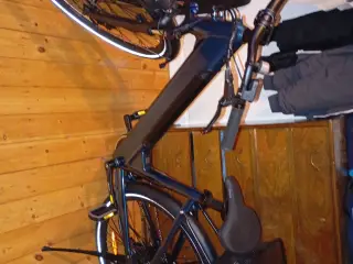 ELECTRIC BIKE FIIDO C11