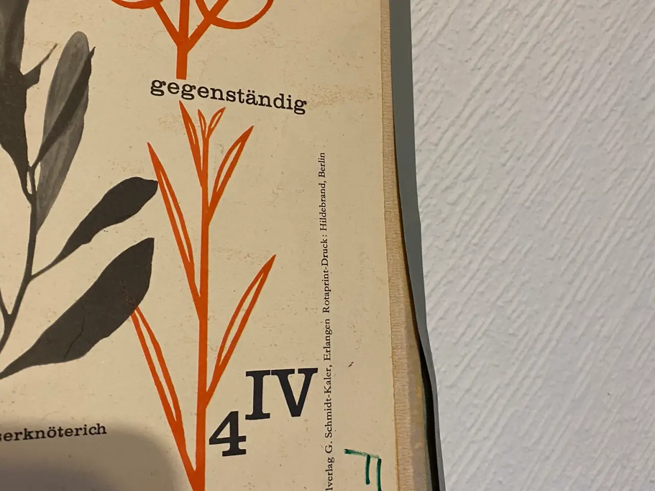 Billede 2 - Anskuelsestavle Planter ved vandet og bladeformer