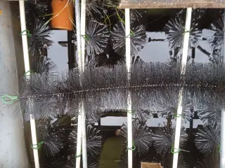 koidam filter børster